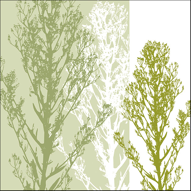 ERICLA83885 Gossamer Greens, by Erin Clark, available in multiple sizes