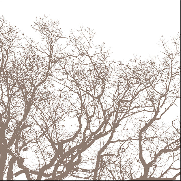 ERICLA92071 Majesty II, by Erin Clark, available in multiple sizes