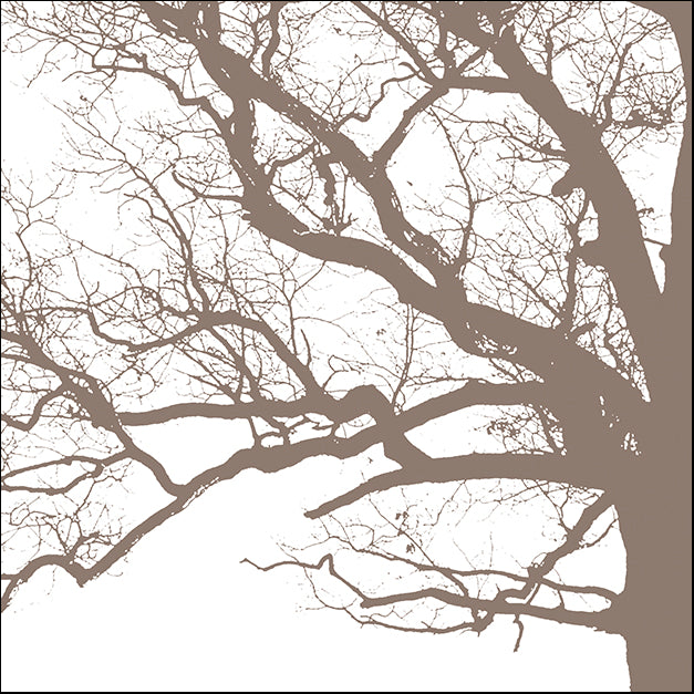 ERICLA92072 Majesty III, by Erin Clark, available in multiple sizes