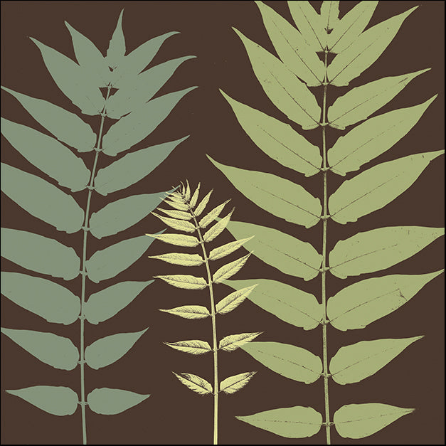 ERICLA92086 Field Botanical, by Erin Clark, available in multiple sizes - Chamton