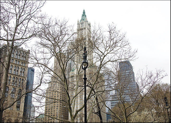 ERICLA92130 Woolworth Building from City Hall Park, by Erin Clark, available in multiple sizes