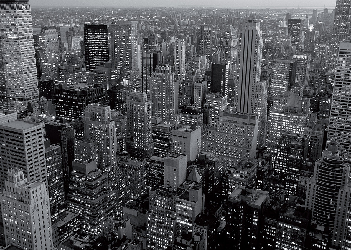 GC333 Concrete Jungle, available in multiple sizes