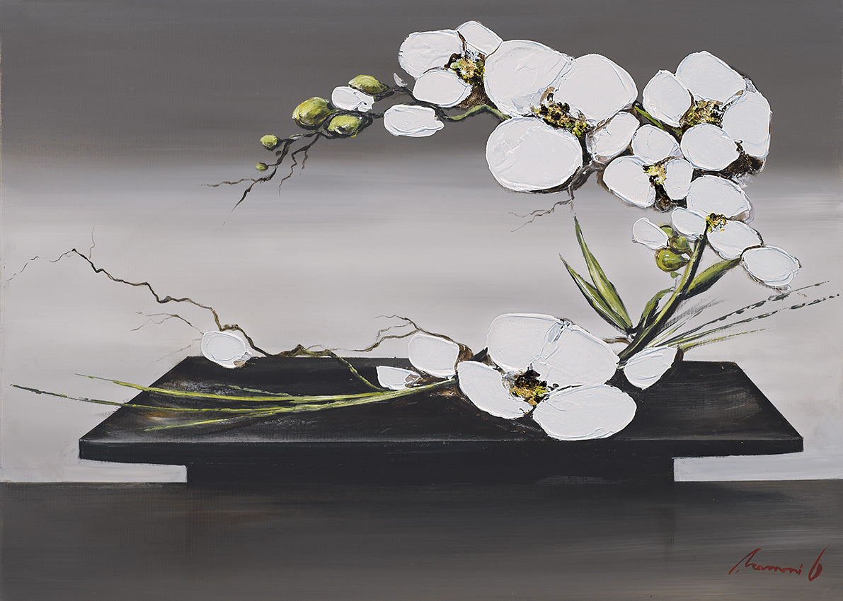 GC362 Orchids on Display, available in multiple sizes