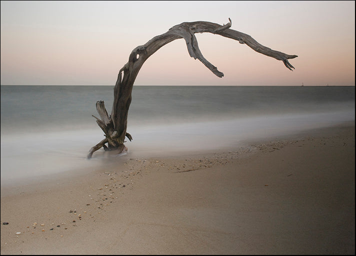 GEOAGR110872 Anthropomorph, by Geoffrey Ansel Agrons, available in multiple sizes - Chamton