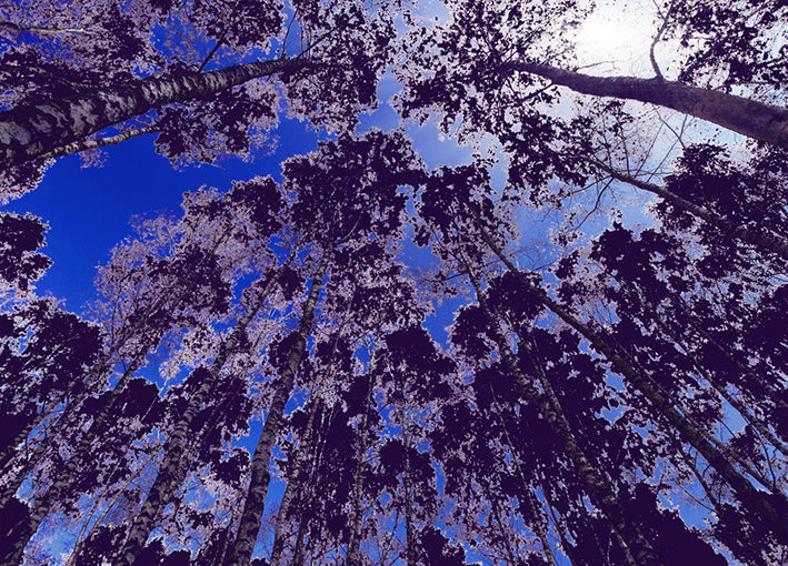 88190 Infrared Tree 10, by GI artlab , available in multiple sizes