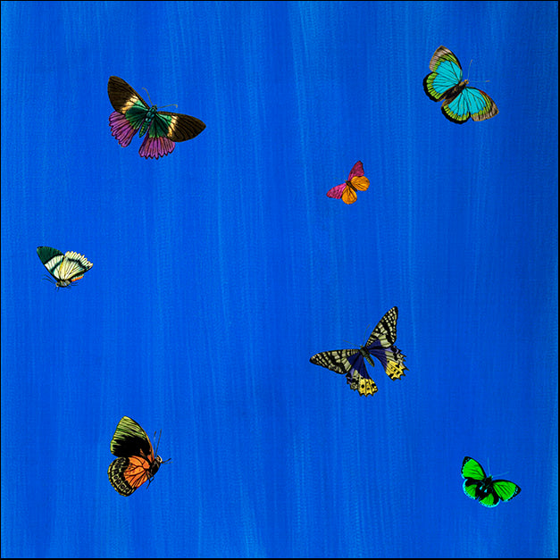 88622 Flutter I, by GI artlab, available in multiple sizes