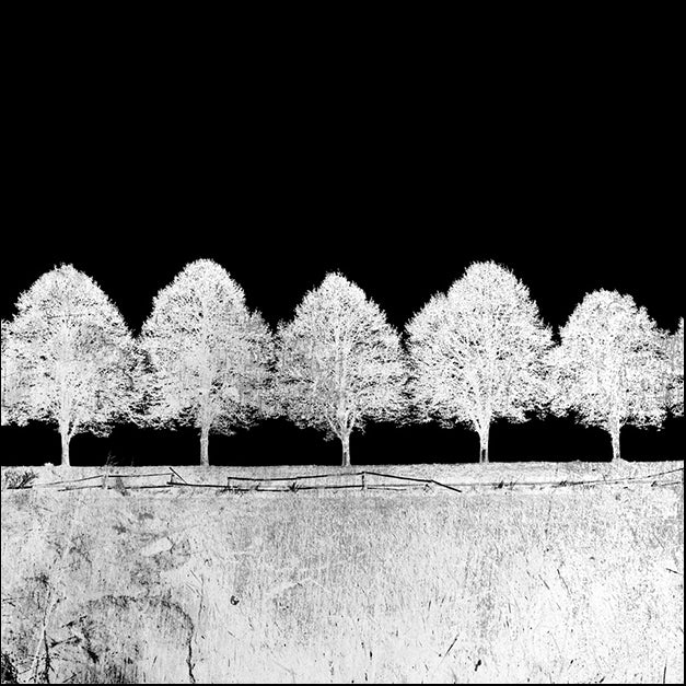 89045 Screened Tree G, by GI artlab, available in multiple sizes