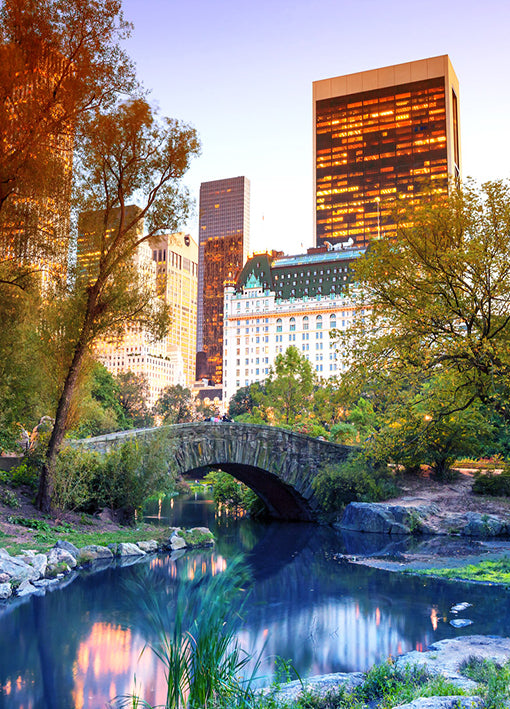 89324 Central Park View, by GI artlab, available in multiple sizes