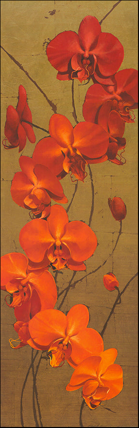 G JCCTL100 Golden Orchids 1 by Kenneth Catlett 33x99cm on paper
