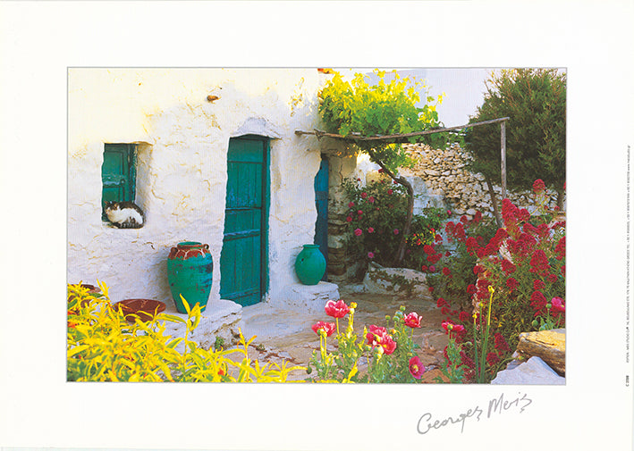 George Meis C 2098 50x35cm paper - Chamton