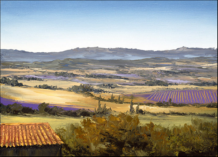 71395 Untitled, by Gizzi, available in multiple sizes