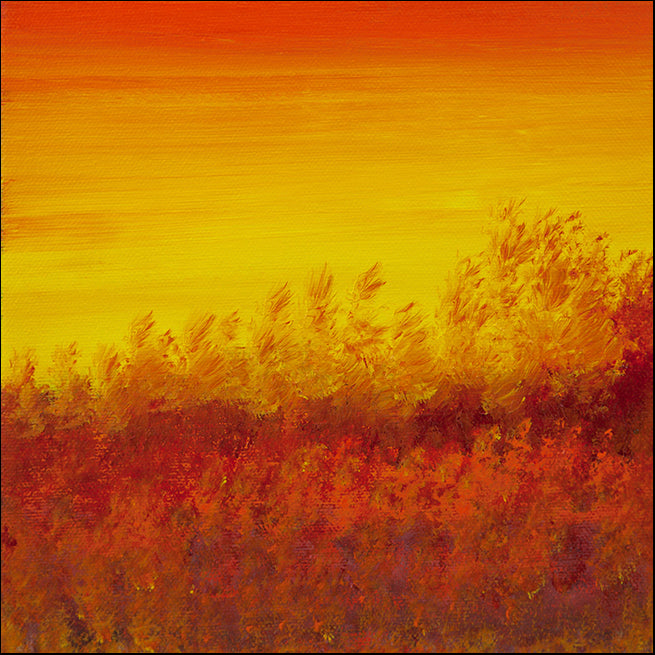 HILWIN178012 Views of Nature 12, available in multiple sizes