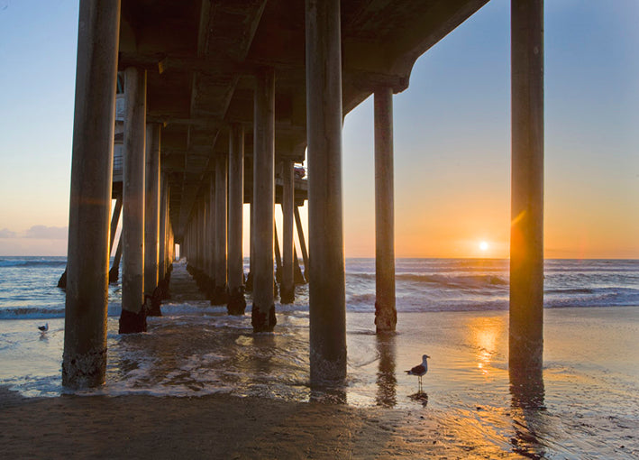 91627 Under the Boardwalk, by Hansen, available in multiple sizes