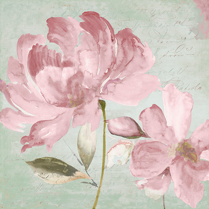 JN099-A Candy I, available in multiple sizes