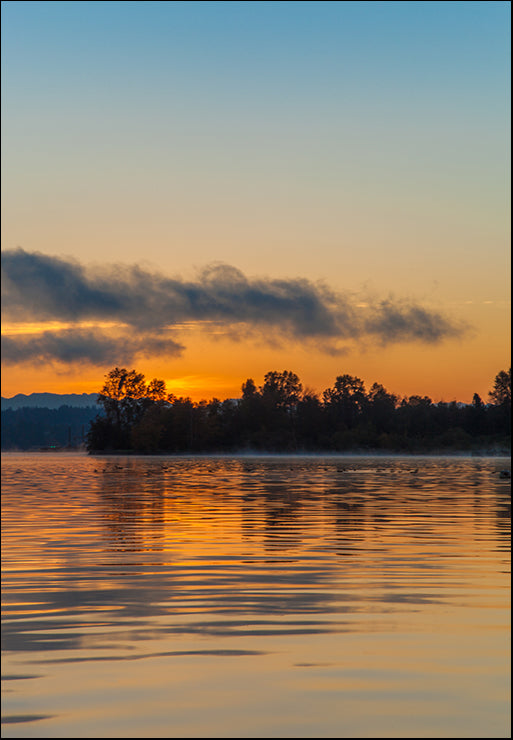 MMC-0424 Molten Gold by Melissa McClain, available in multiple sizes - Chamton