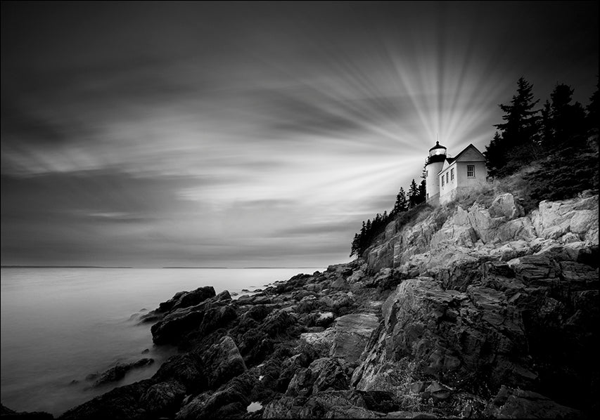 MOILEV154764 Acadia , available in multiple sizes - Chamton