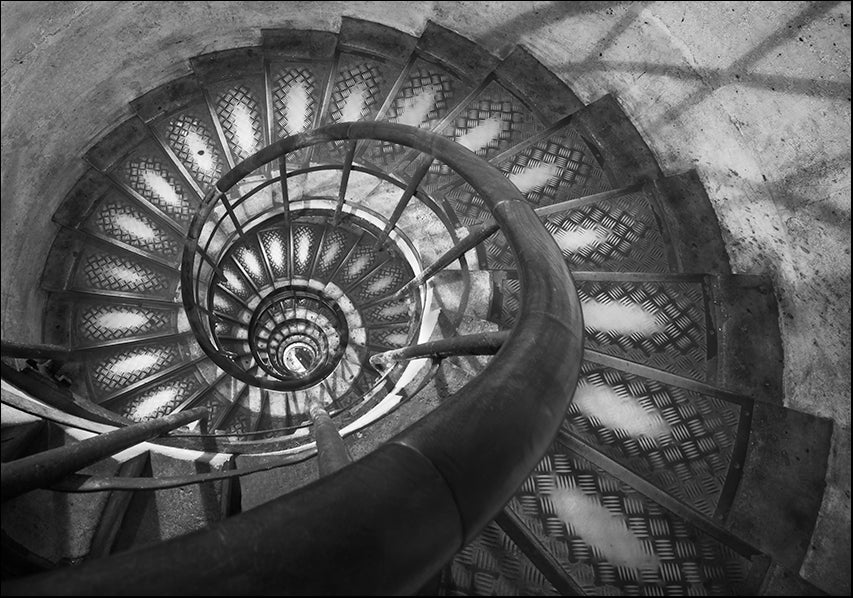 MOILEV172806 Infinity 1, available in multiple sizes