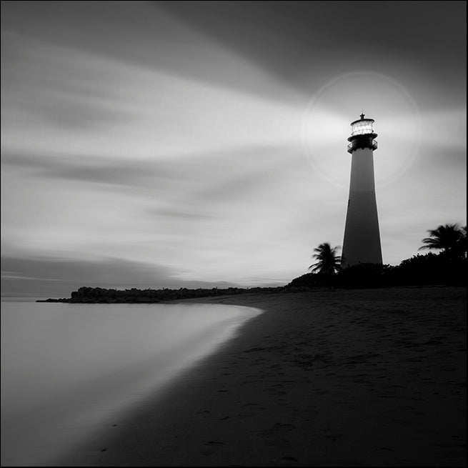 MOILEV96435 Faro BN , available in multiple sizes