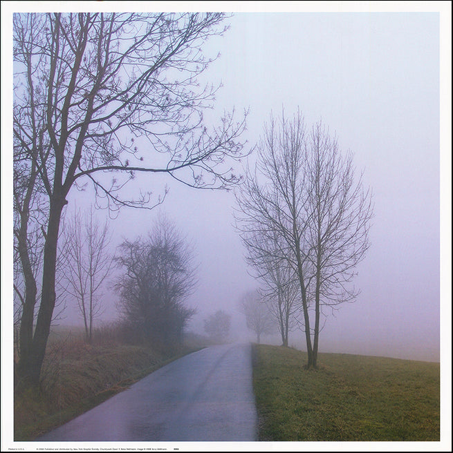 NYGS 5993 Countryside Dawn 2 by Ilona Wellmann 50x50cm on paper