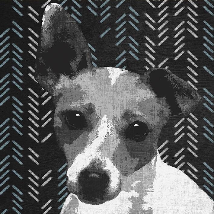 PA870-A - Jack Black, available in multiple sizes