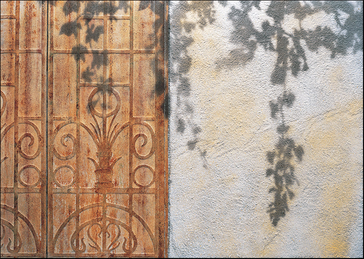 PCIS-104 Rusty Door and Grapevine by Josep Cisquella, available in multiple sizes