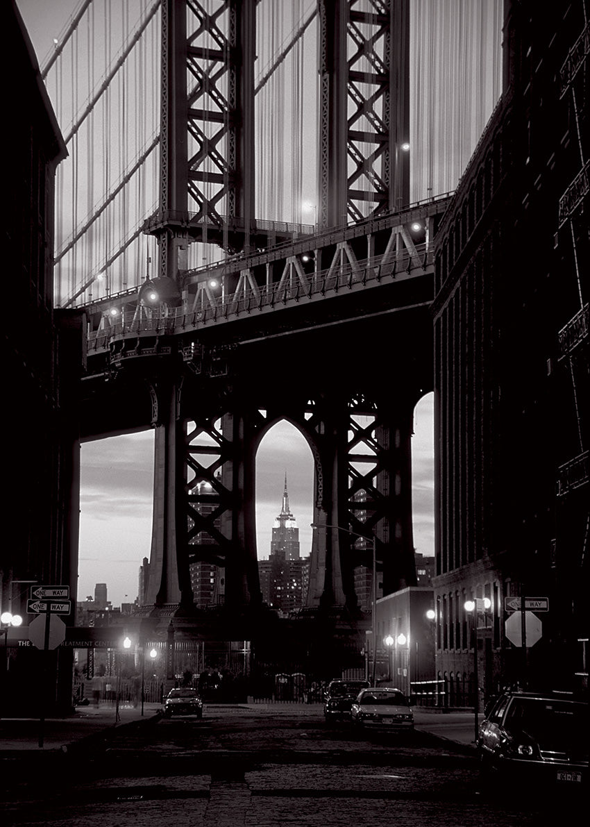 R4191 Under Manhattan Bridge, available in multiple sizes