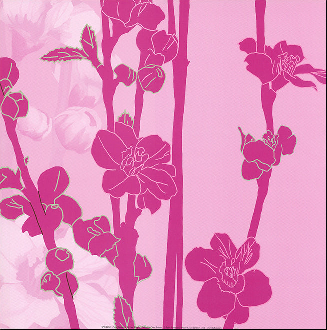 R SPK2658 Plum Blossom 2 by Kate Knight 40x40cm on paper - Chamton