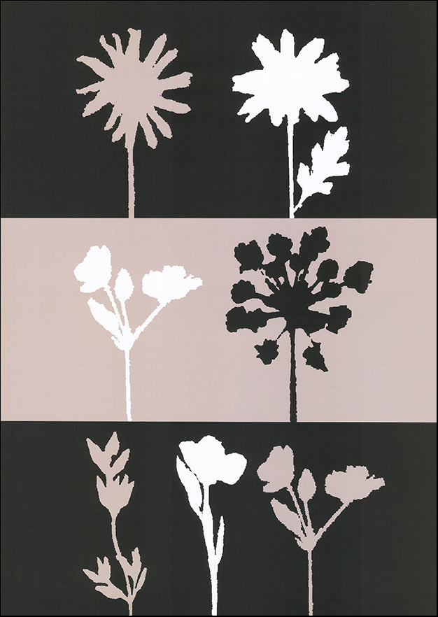 R SPT8376 Shadows 1 by Julie Lavender 50x70cm on paper - Chamton