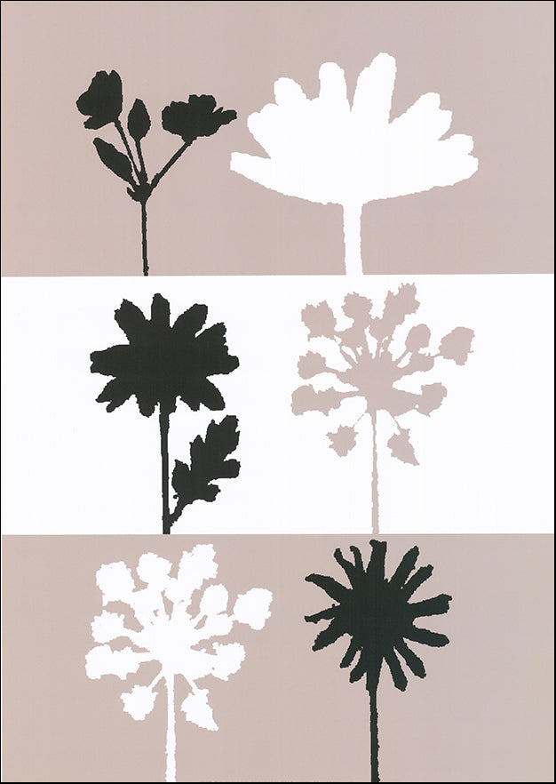 R SPT8377 Shadows 2 by Julie Lavender 50x70cm on paper - Chamton