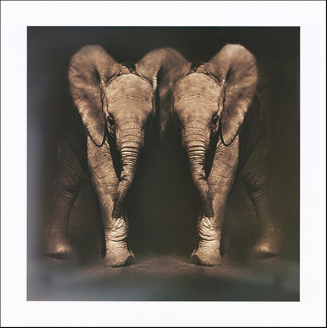 R SPV9301 Twins by Bobbie Goodrich 61x61cm on paper