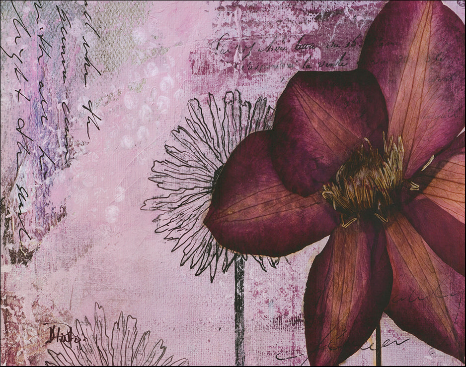 SD 7150 Pressed Flowers 1 by Patricia Pinto 71x56cm on paper - Chamton