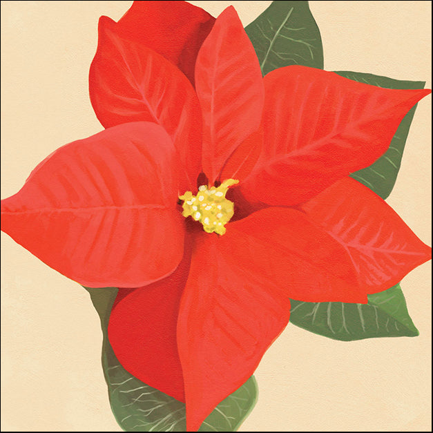 91739 Poinsettia Flower, by Steffen, available in multiple sizes - Chamton