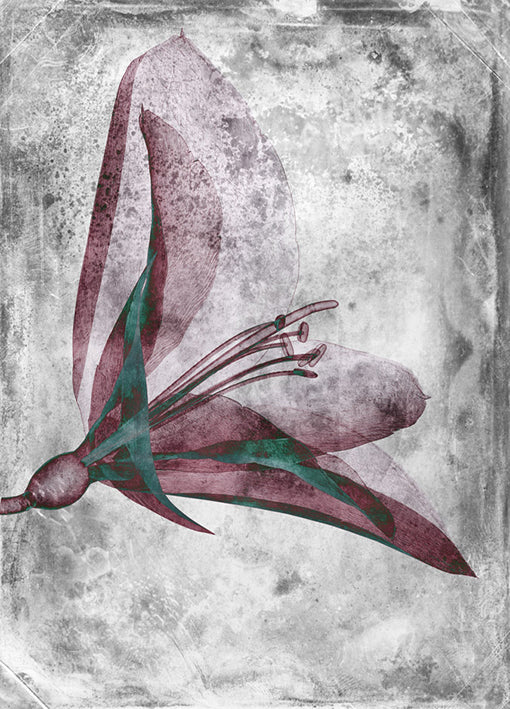 102189 Flower Inversions 2, by THE Studio, available in multiple sizes - Chamton