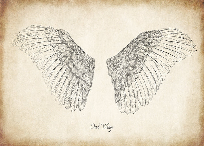 99267 Owl Wings, by THE Studio, available in multiple sizes - Chamton