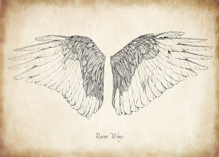 99268 Raven Wings, by THE Studio, available in multiple sizes - Chamton