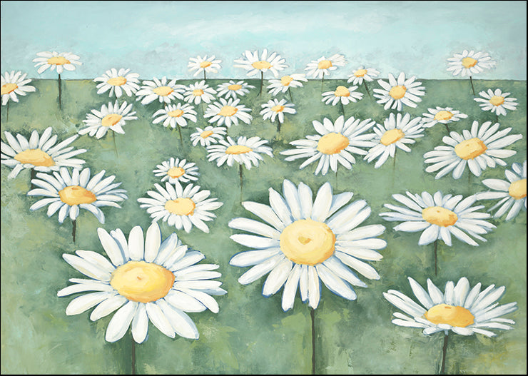 UHIB-449 Field of Flowers by Randy Hibberd, available in multiple sizes