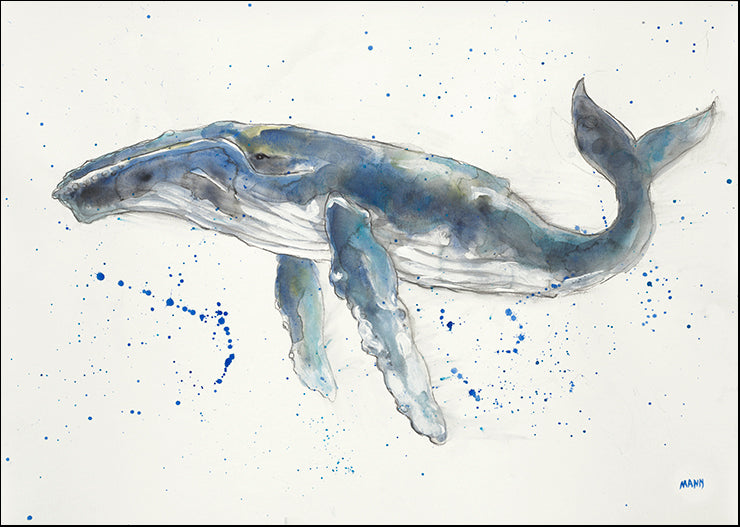 UMAN-130-ALT-V1 Whale by Patti Mann, available in multiple sizes