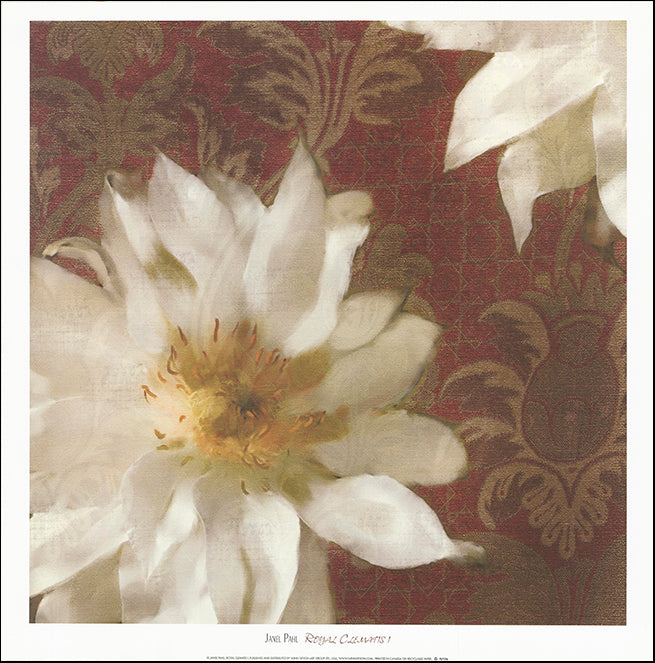 WD PLP106 Royal Clematis by Janel Pahl 50x50cm on paper