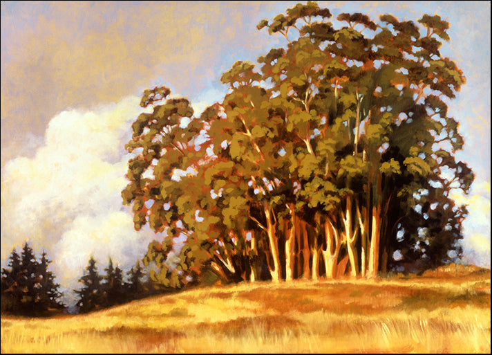 77749 Eucalyptus Grove, by Waldron, available in multiple sizes - Chamton