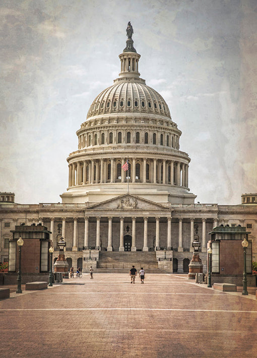 92311 The White House, by Werder, available in multiple sizes