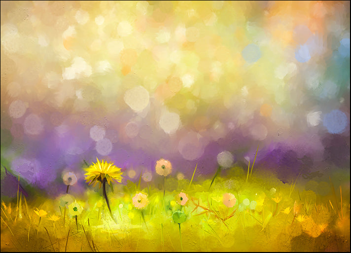 a02619010 Oil Painting Nature Grass Flowers- Yellow Dandelions, available in multiple sizes