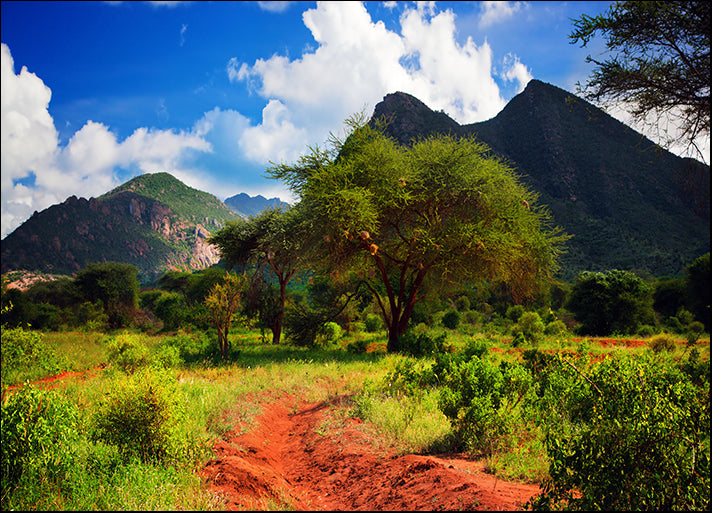 d2915424 Savanna Panorama landscape, available in multiple sizes