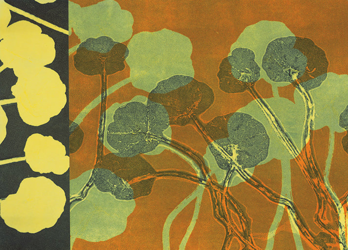 76312 Nasturtium 14, by Briggs, available in multiple sizes