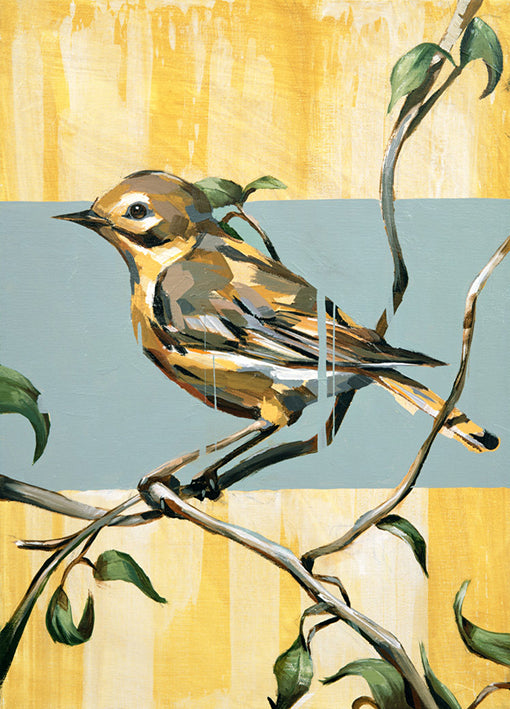79422 Warbler C, by Gonzales available in multiple sizes - Chamton