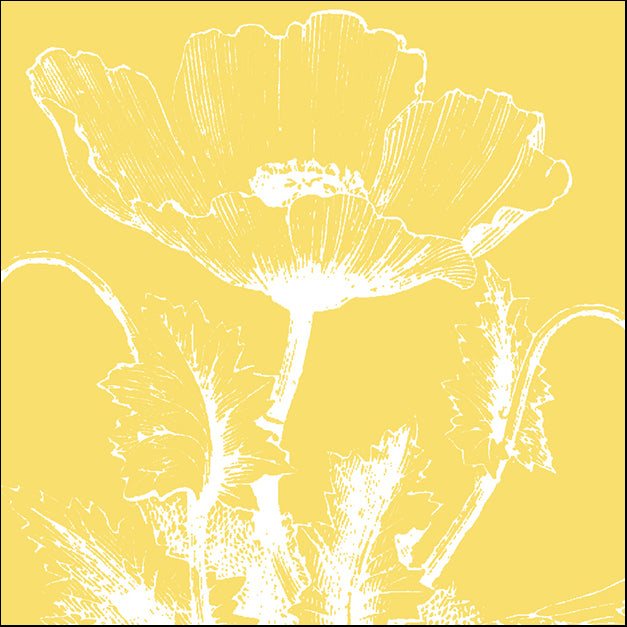 76628 Poppy I, by Meyer, available in multiple sizes