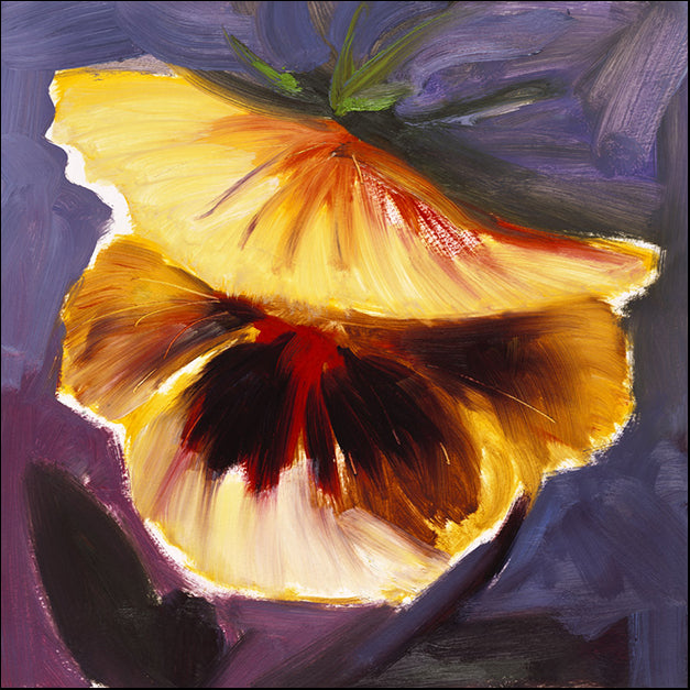 70532 Bloem 4, by Marysia, available in multiple sizes