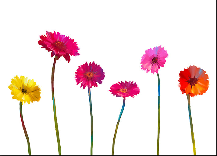 i6530492 Still Life Floral Of Yellow And Red Gerbera Flowers, available in multiple sizes