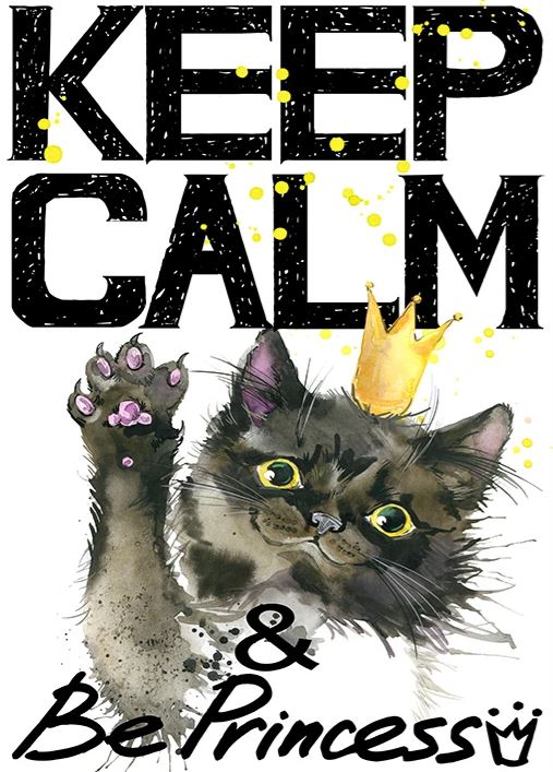 Motivational / Inspirational