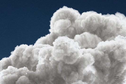 103207 WA I Live Here Now I, by Nathan Larson, available in multiple sizes