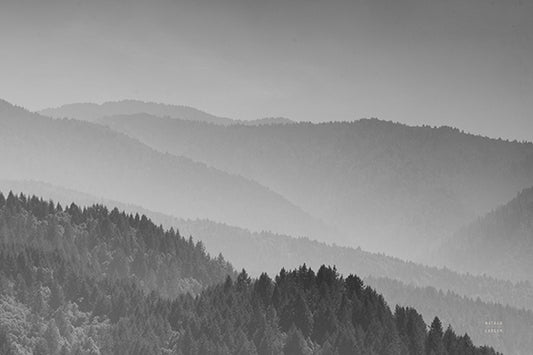 88888 WA Deep in the Lost Coast, by Nathan Larson, available in multiple sizes - Chamton